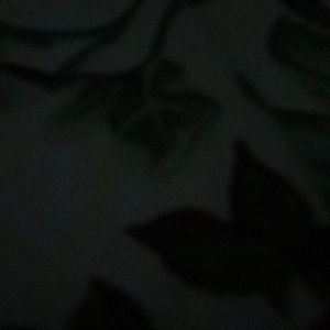 Meet your Posher, Tiffanie